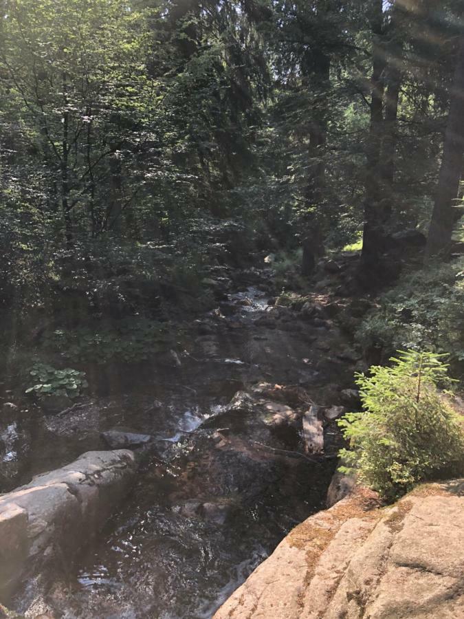 Wurmberg Baude 1 * Braunlage